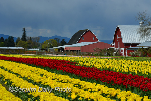 Honda of skagit valley #5