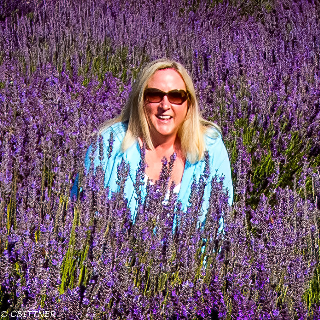 This weekend is lavender festival in Sequim Sequim Daily Photo