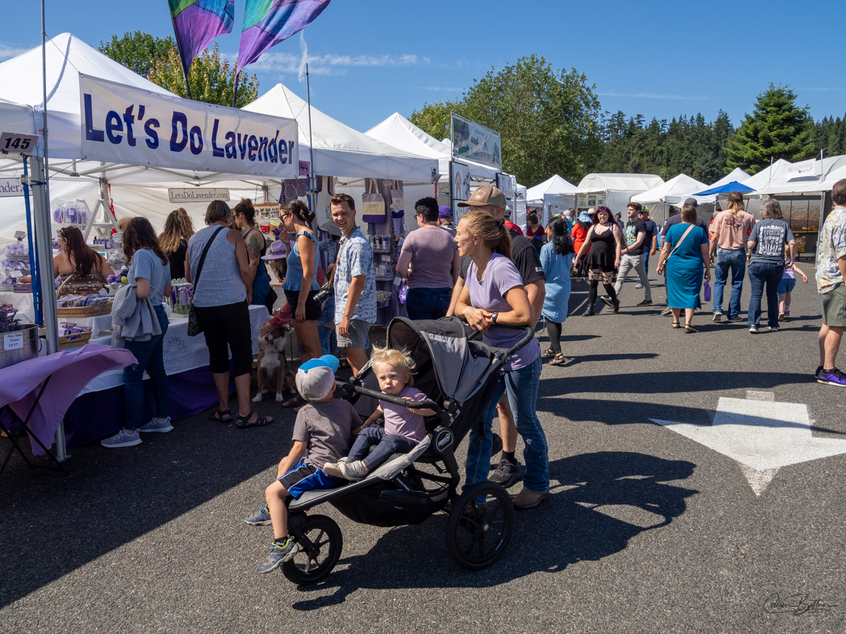 Street fair at lavender festival Sequim Daily Photo