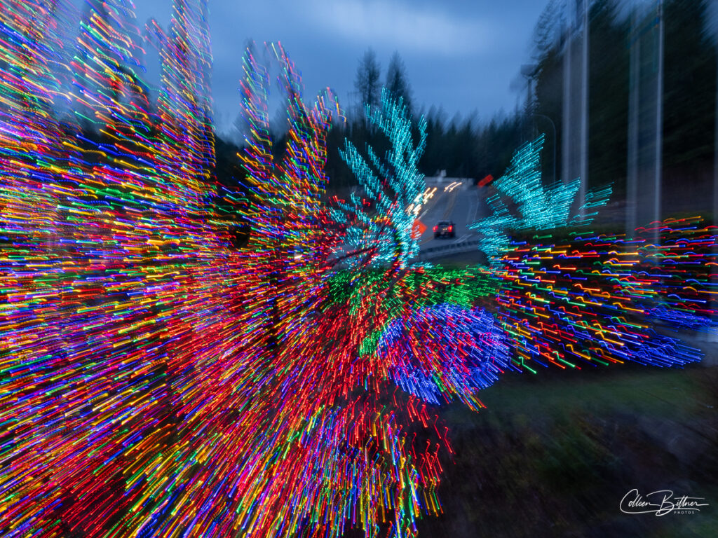 Crazy Christmas lights – Sequim Daily Photo